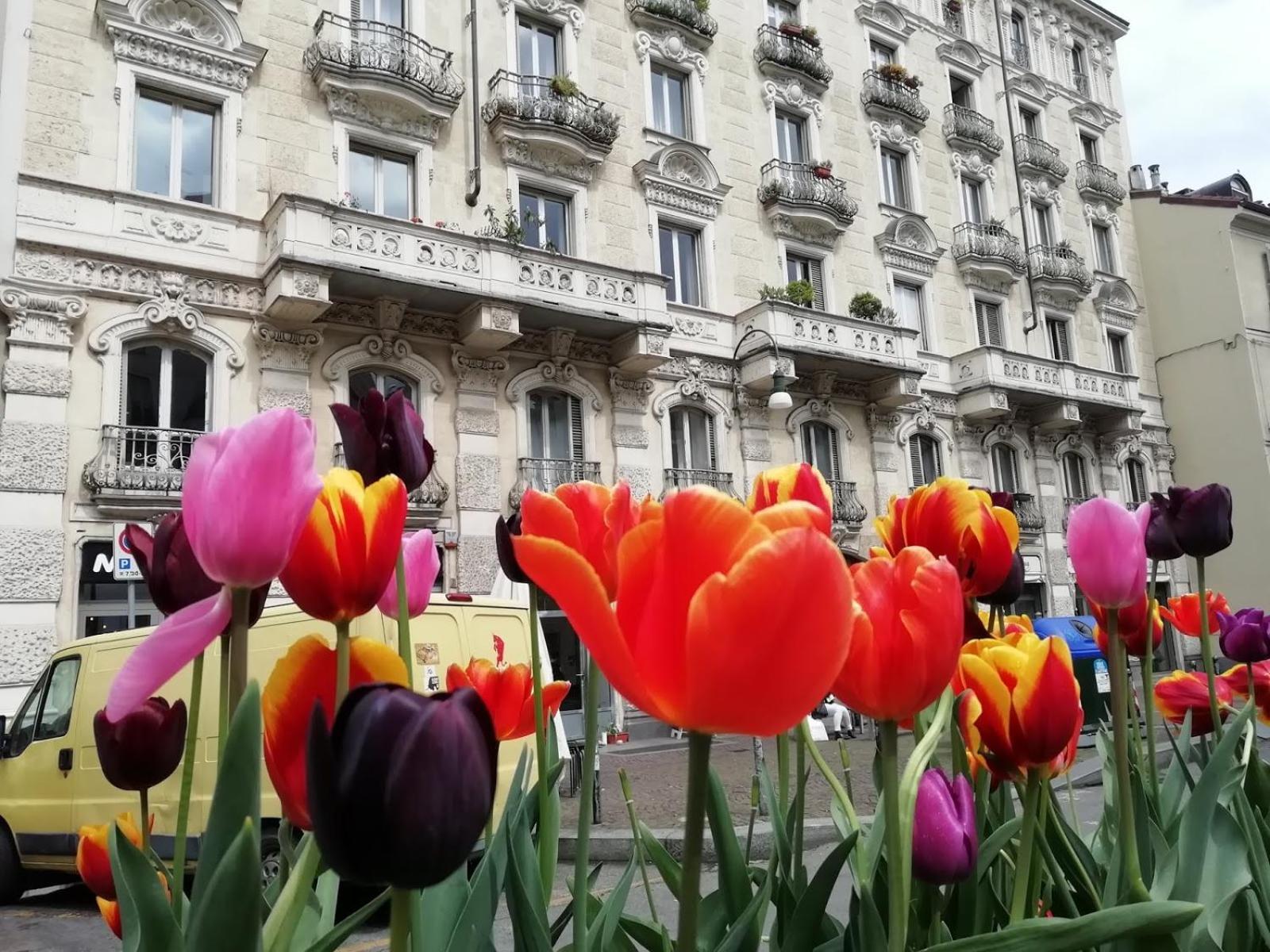 Emanuele Filiberto Daire Torino Dış mekan fotoğraf